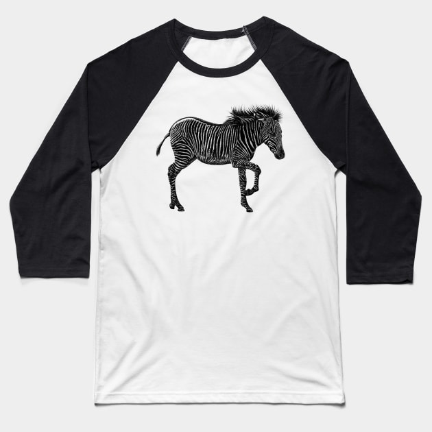 Grevy's zebra foal Baseball T-Shirt by lorendowding